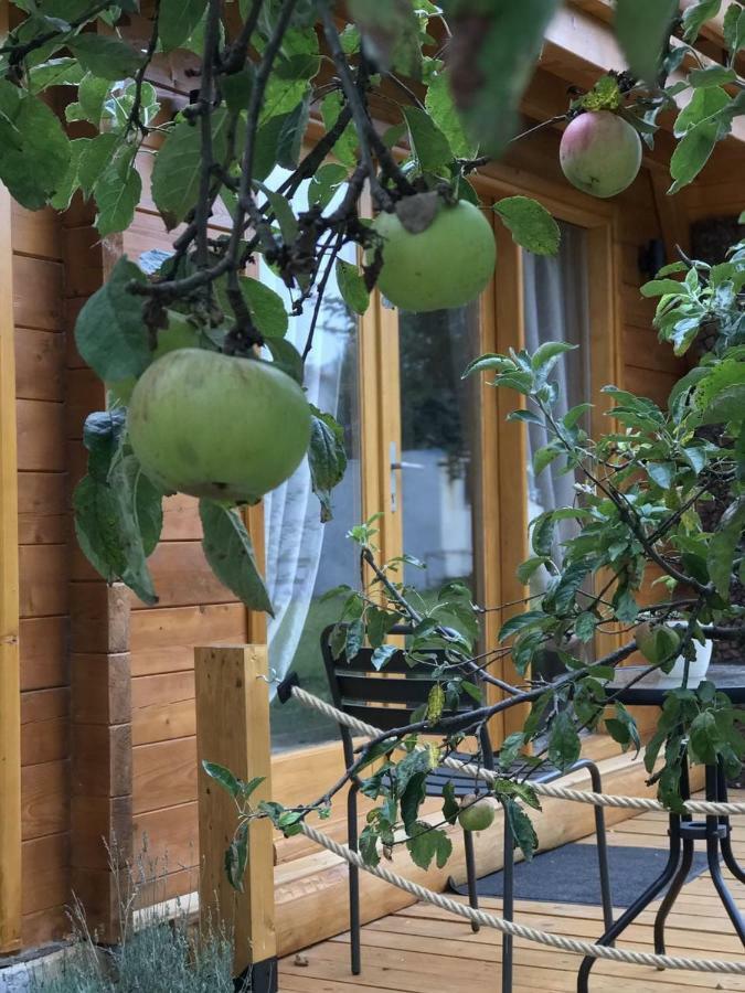 Willa Apple House Cetynia Zewnętrze zdjęcie