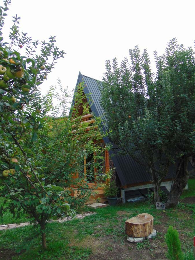 Willa Apple House Cetynia Zewnętrze zdjęcie