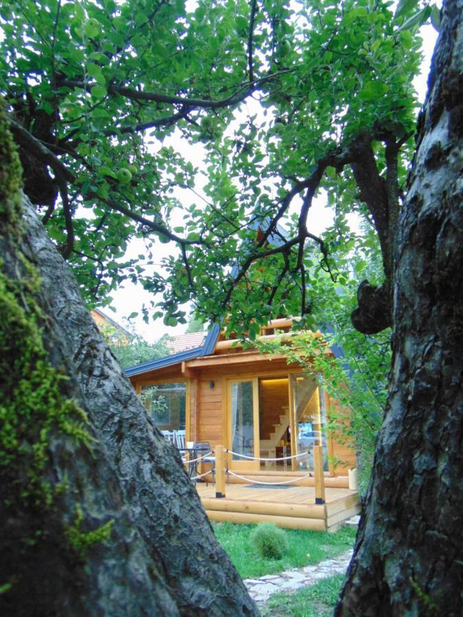 Willa Apple House Cetynia Zewnętrze zdjęcie