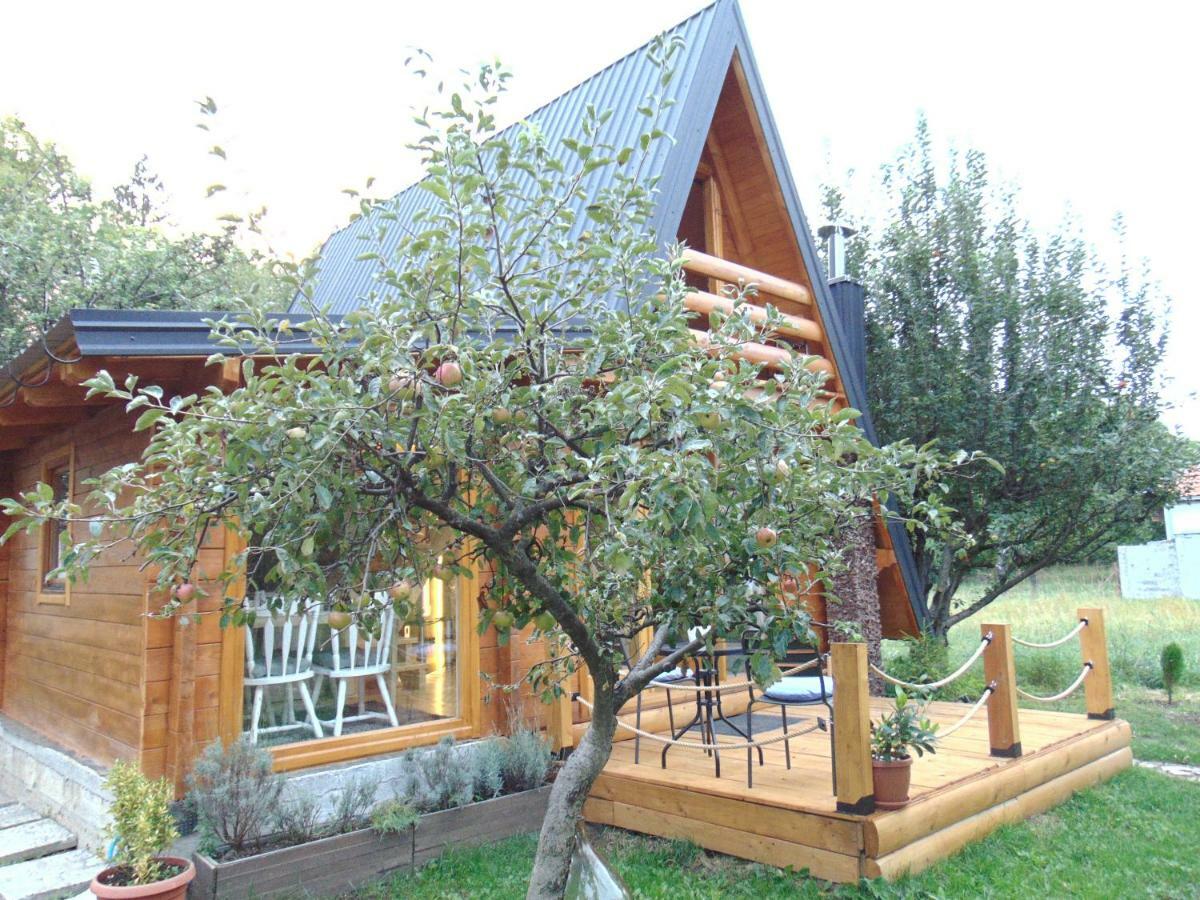 Willa Apple House Cetynia Zewnętrze zdjęcie